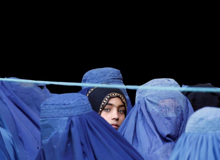 The Taliban government banned window viewing women area and NGOs employing women